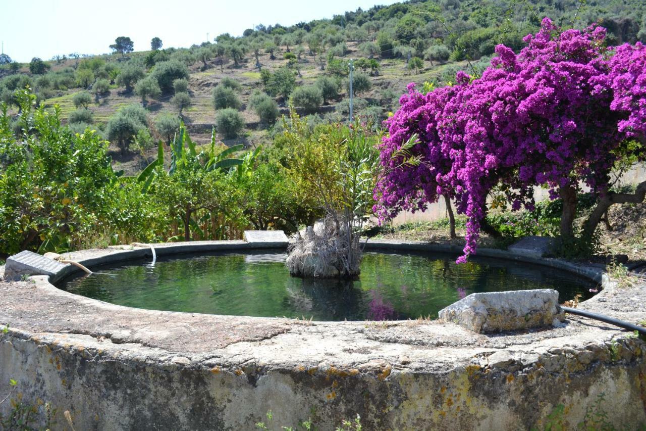 Villa Palamara 1868-Toweronthesea Sant'Ambrogio  Εξωτερικό φωτογραφία
